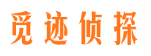 临川市婚外情调查